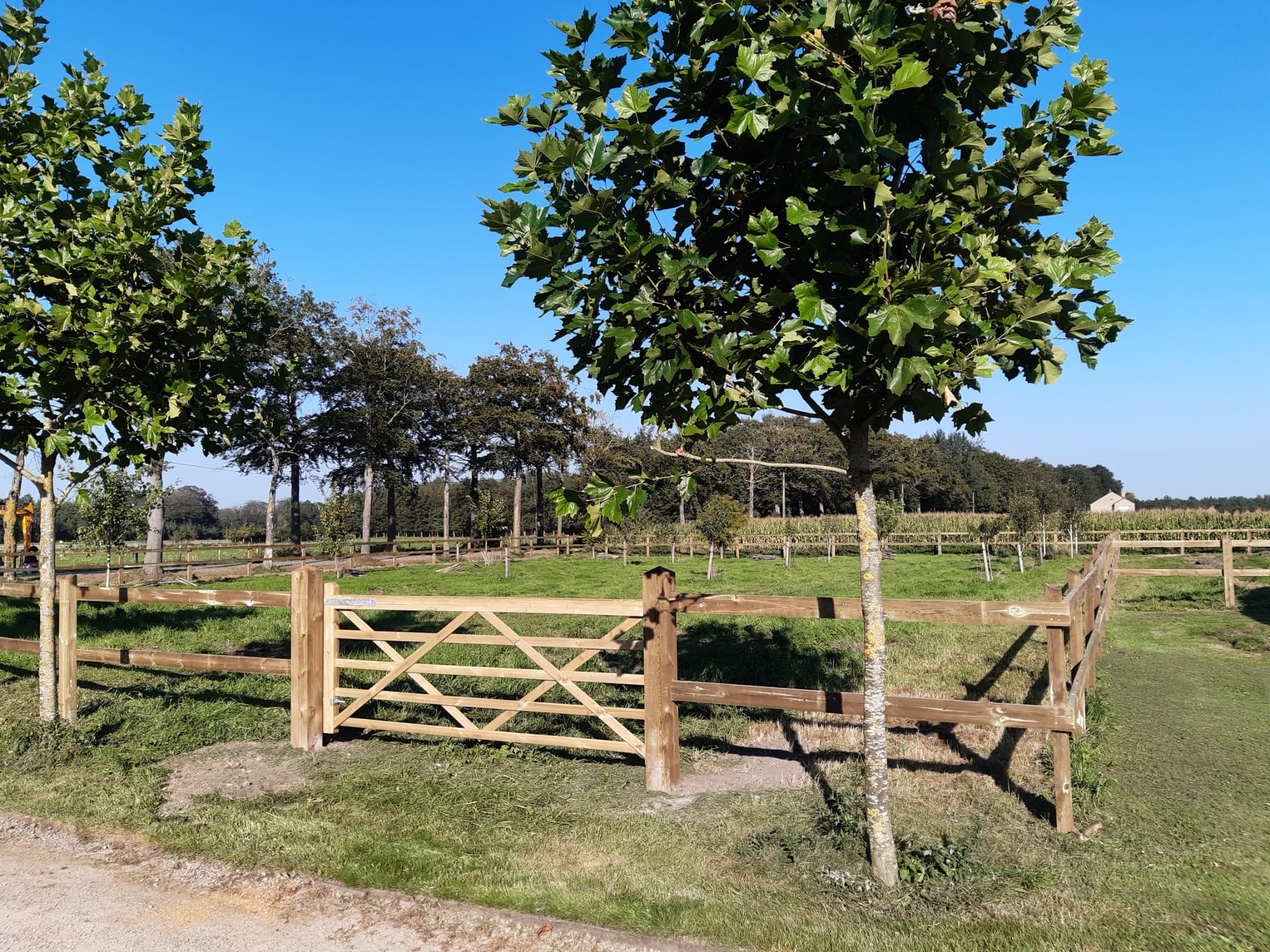 AGRODIEREN - découvrez nos différents styles de clôtures de pâturage et profitez de nos conseils professionnels